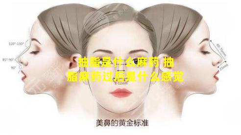 抽脂是什么麻药 抽脂麻药过后是什么感觉